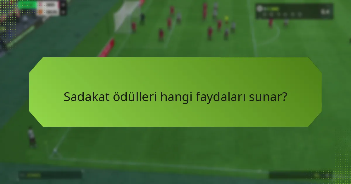 Sadakat ödülleri hangi faydaları sunar?